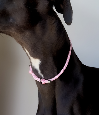 House Collar - Bubblegum
