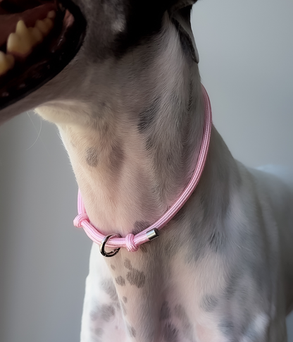 House Collar - Bubblegum