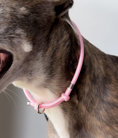 House Collar - Bubblegum