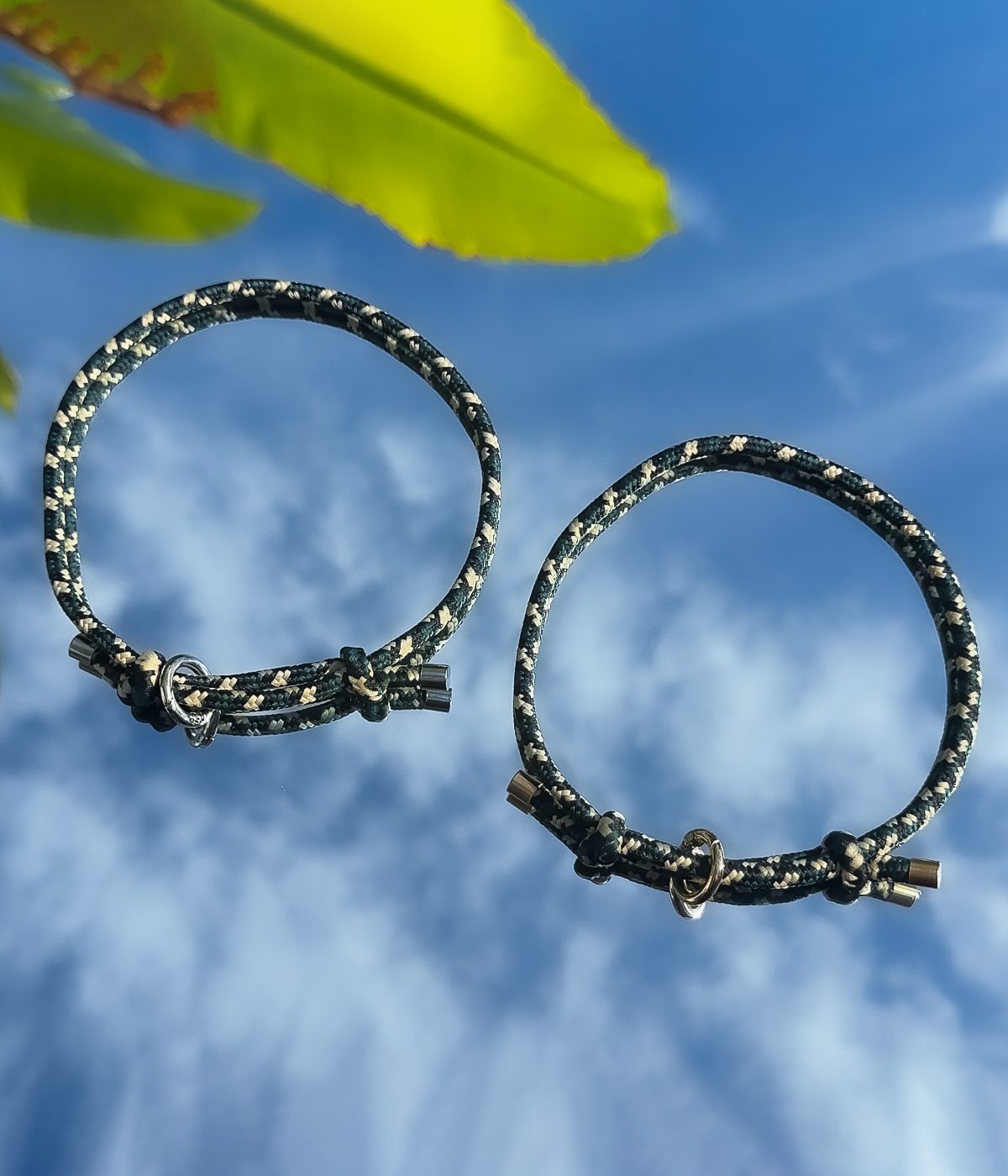 House Collar - Camo