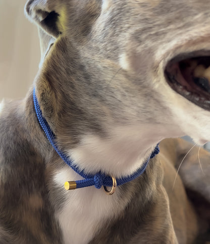 Waffle House Collar - Capri