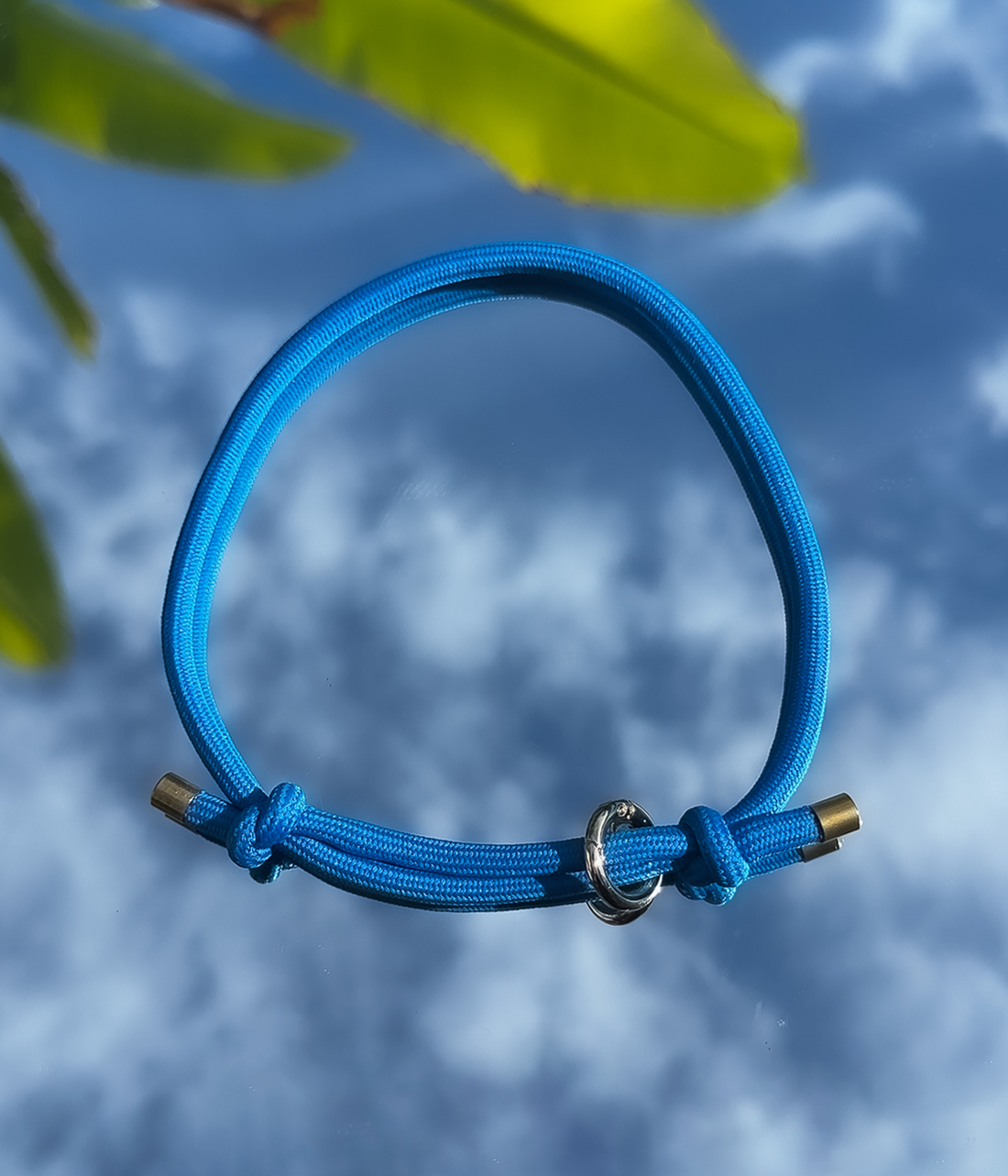 House Collar - Cerulean Blue