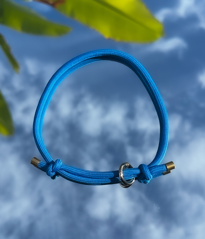 House Collar - Cerulean Blue