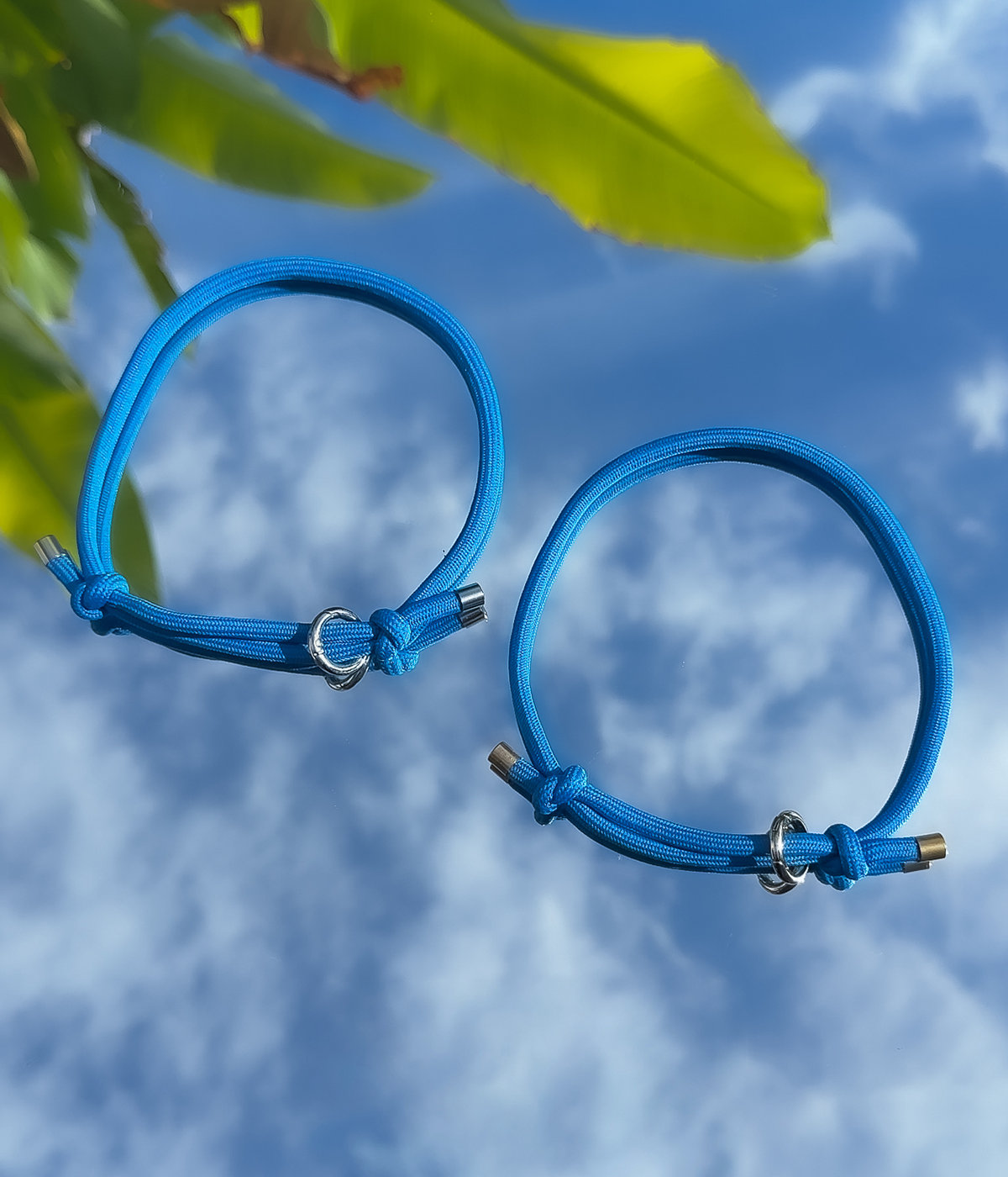 House Collar - Cerulean Blue