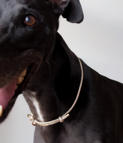 Glitter House Collar - Champagne