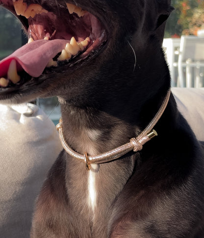 Glitter House Collar - Champagne