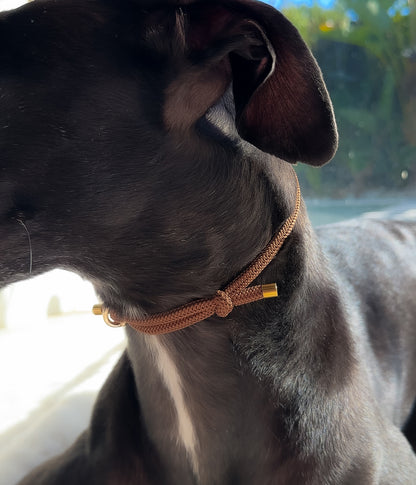 Waffle House Collar - Chocolate