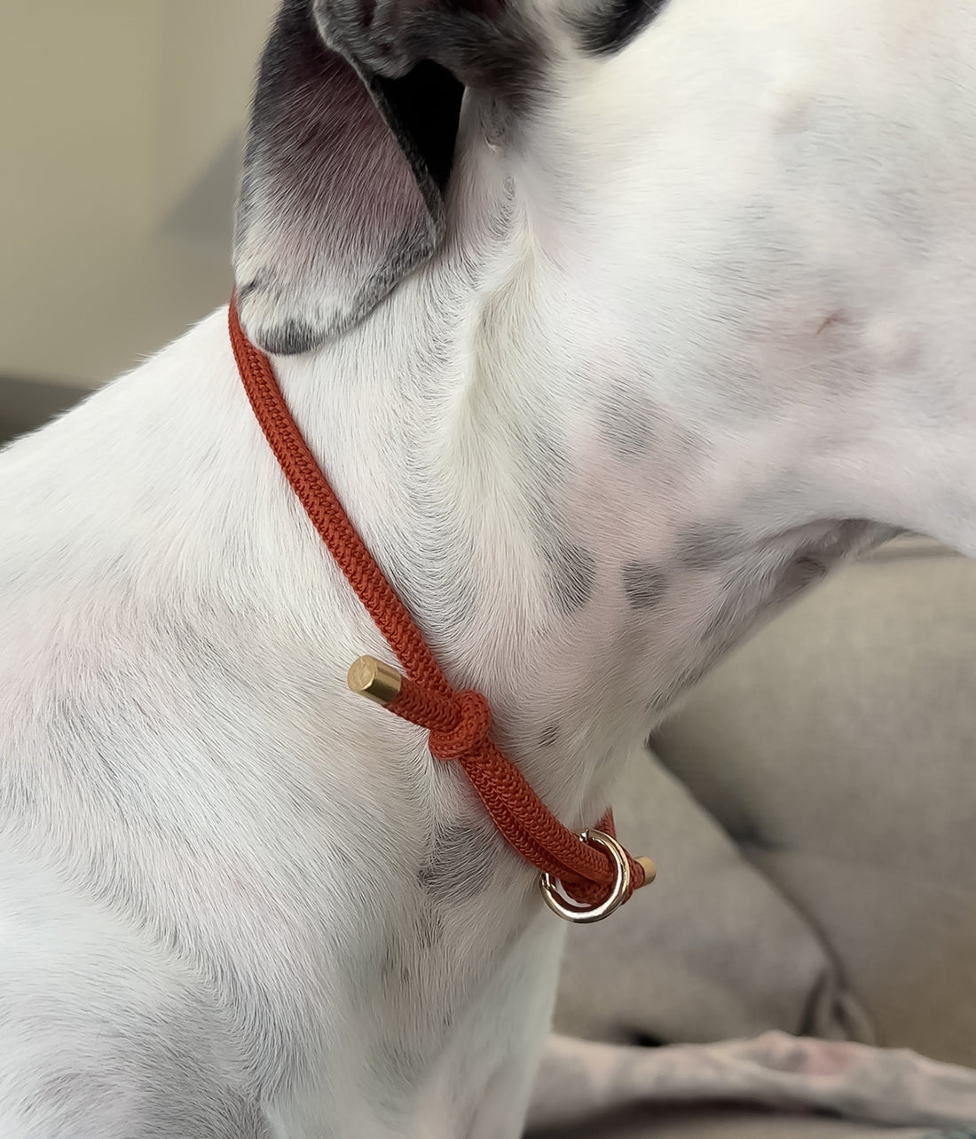 Waffle House Collar - Clay