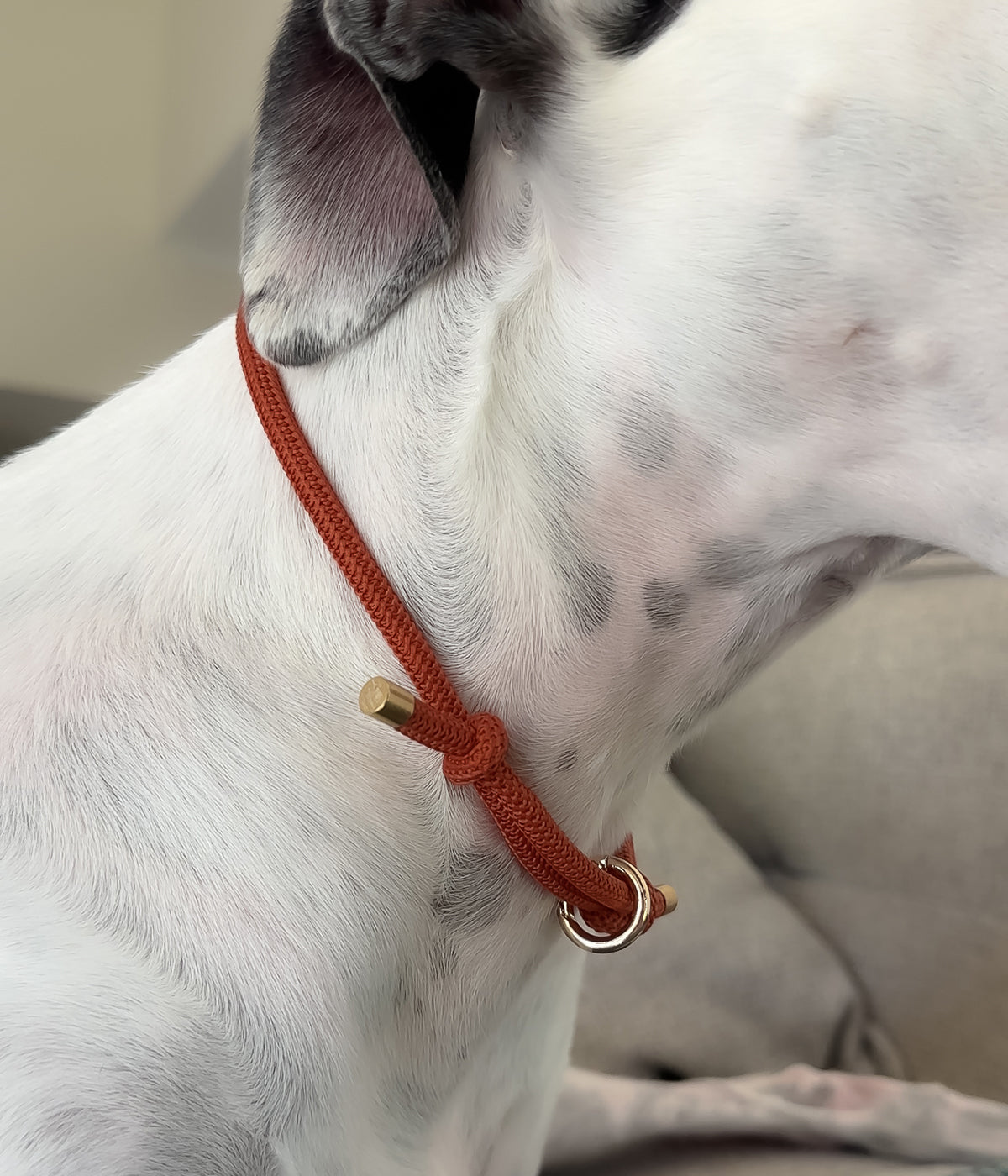 Waffle House Collar - Clay