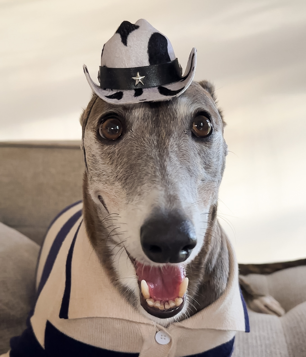 Cowboy Hat - Cow Print