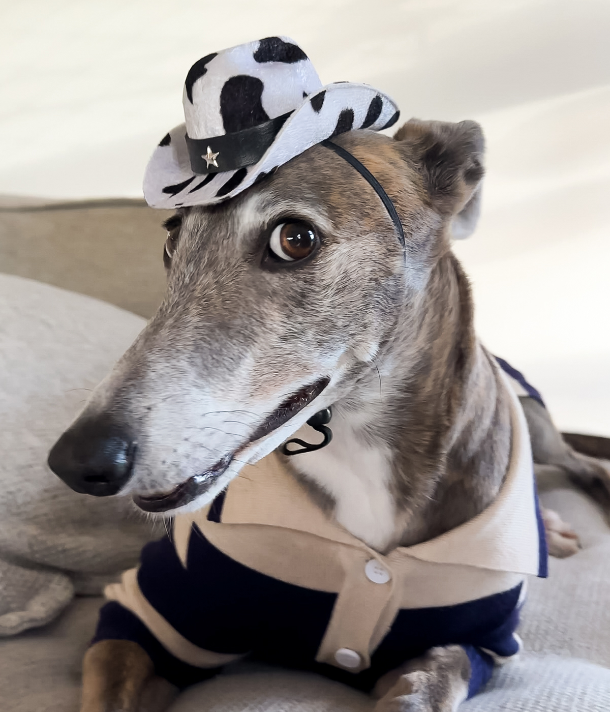 Cowboy Hat - Cow Print