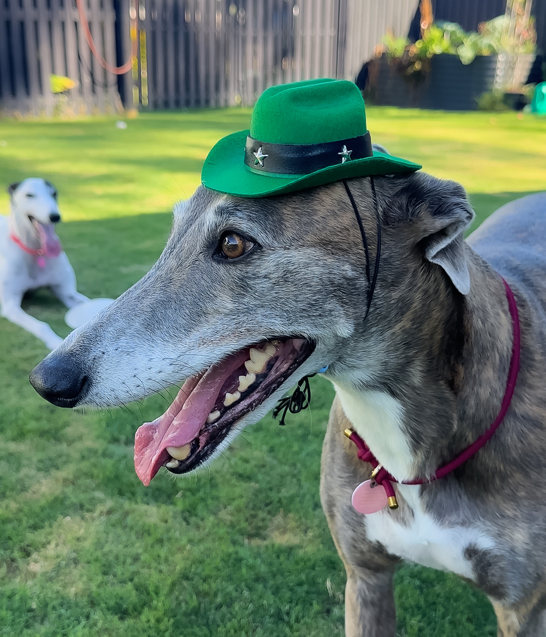 Cowboy Hat - Green