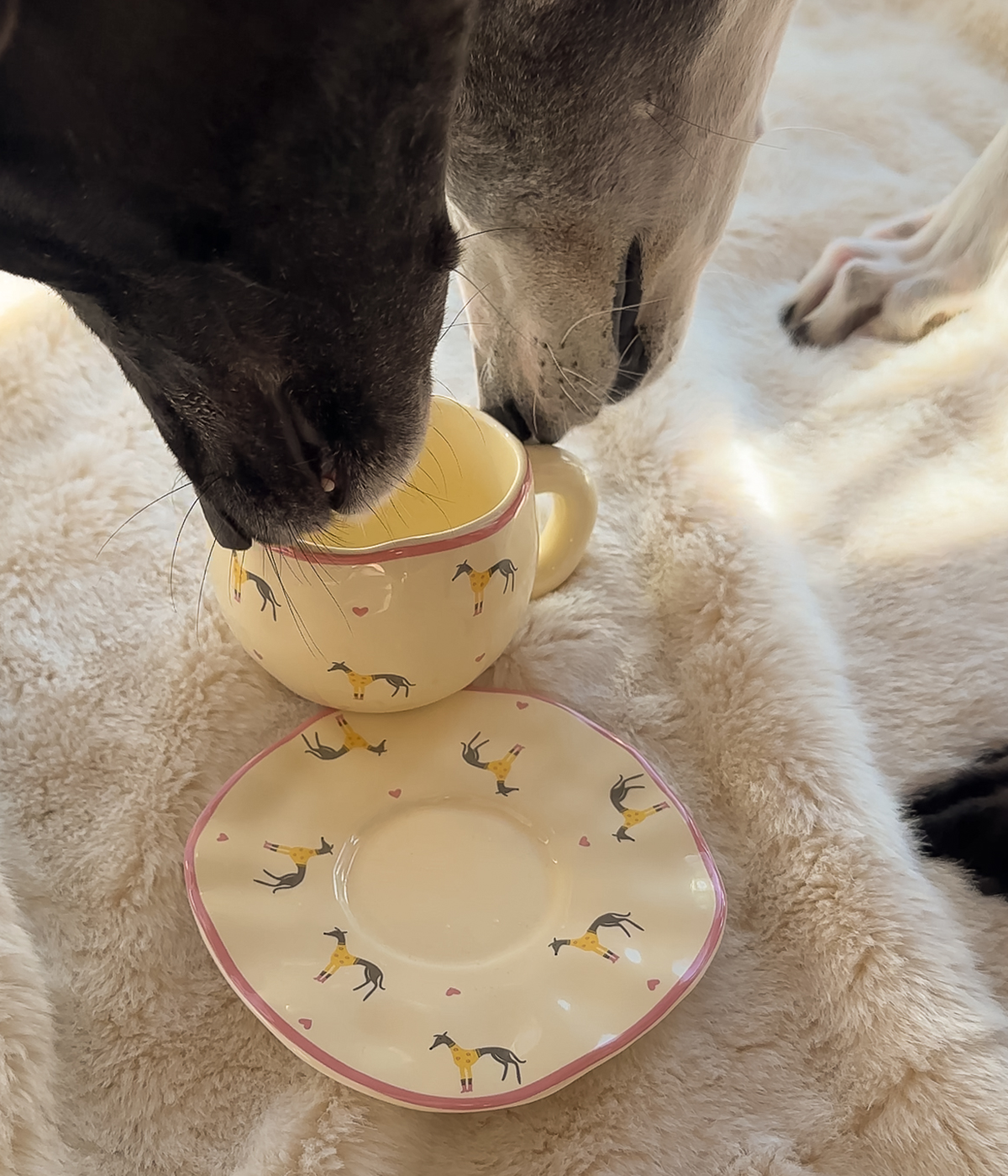 The Dolly Mug
