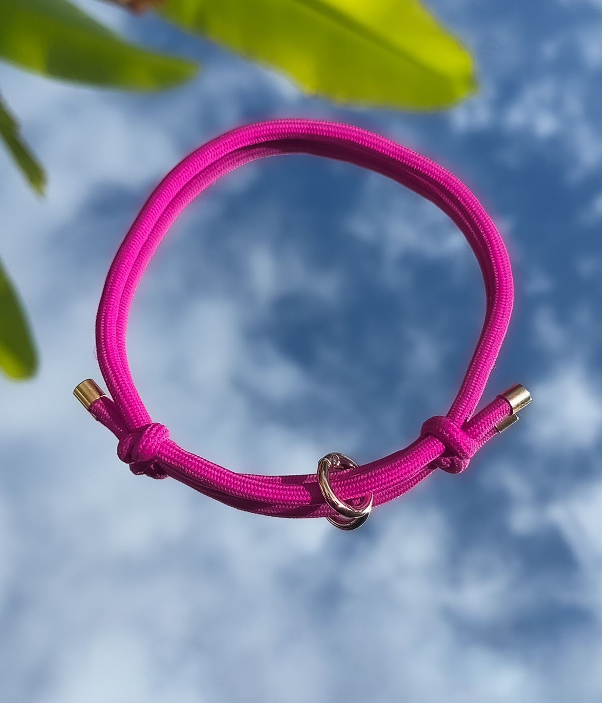 House Collar - Dragonfruit