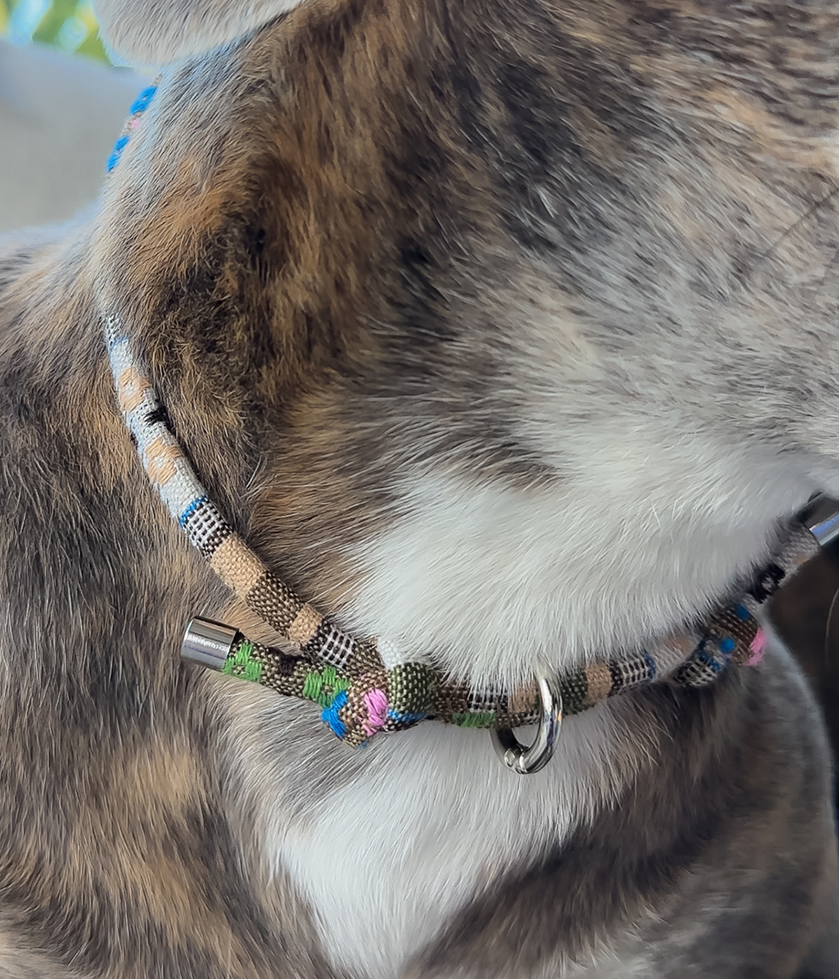 Boho House Collar - Dune