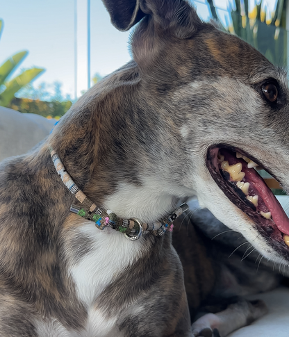 Boho House Collar - Dune