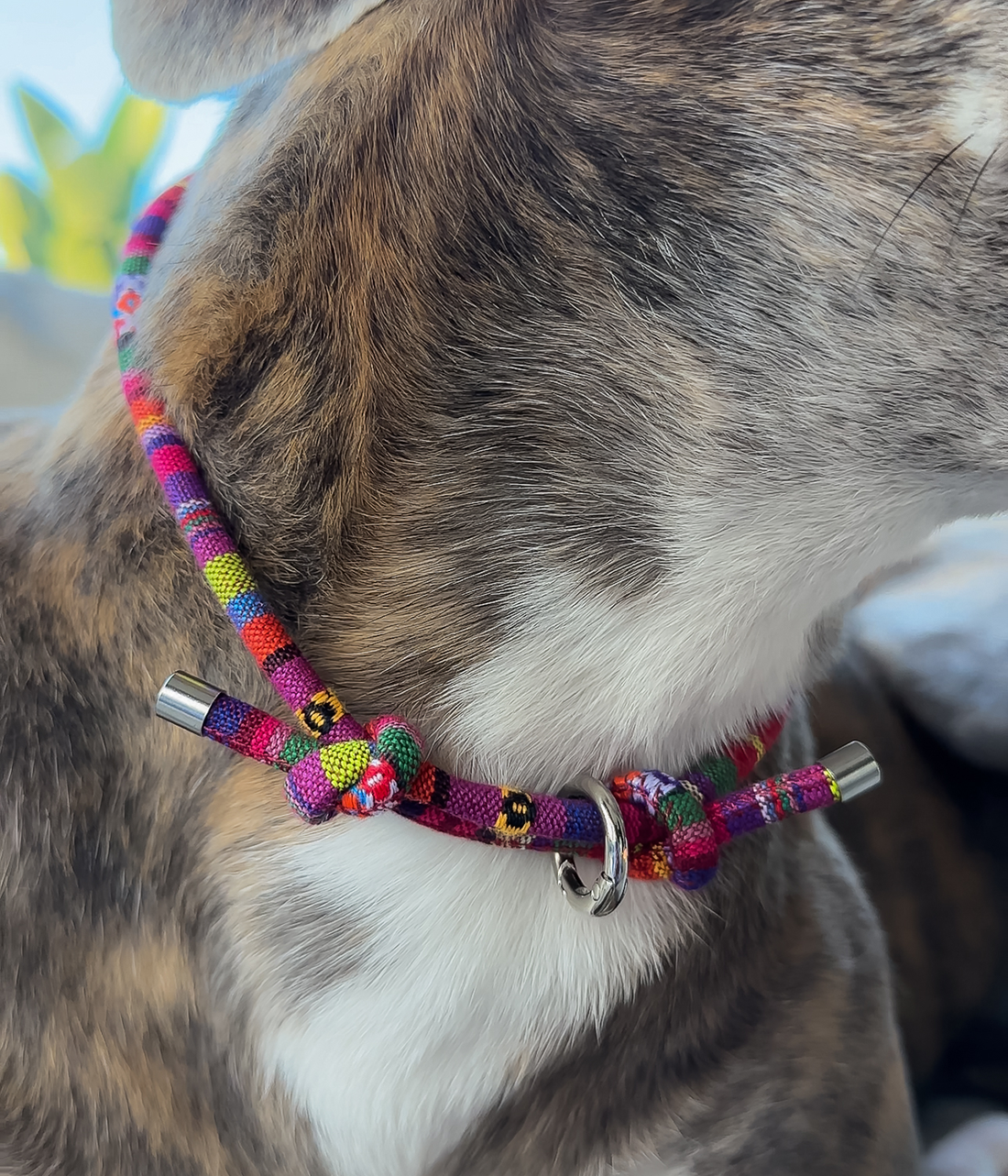 Boho House Collar - Dusk