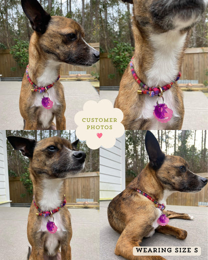 Boho House Collar - Dusk
