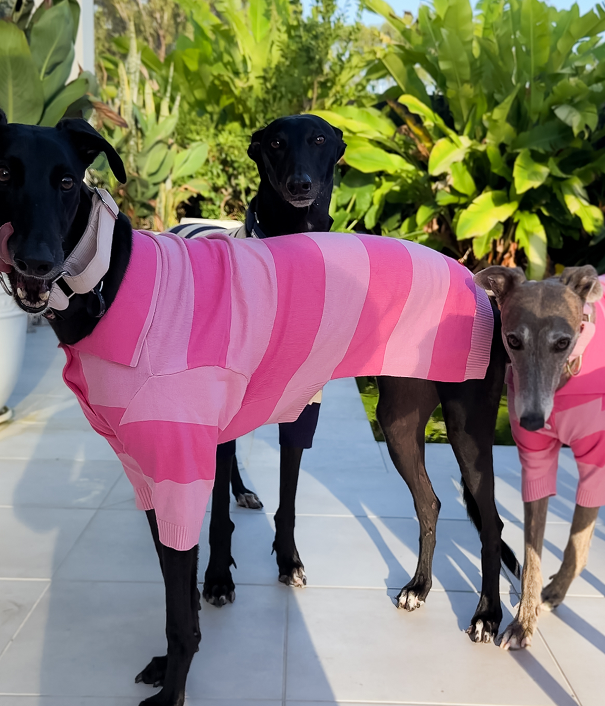 Elle Woods Pink Polo