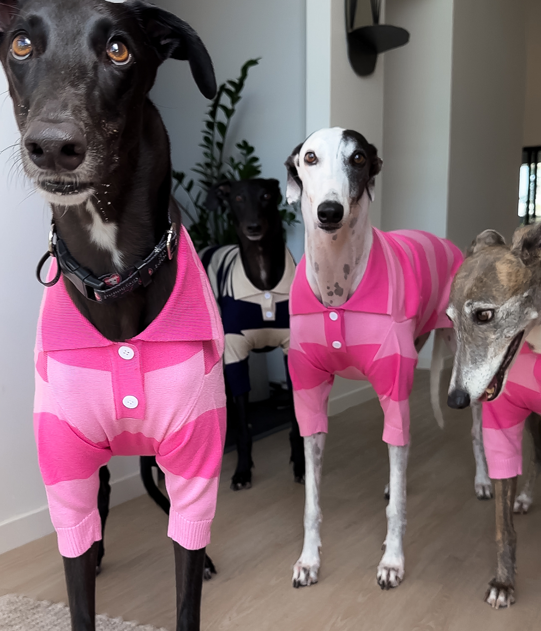 Polo Shirt - Elle Woods Pink