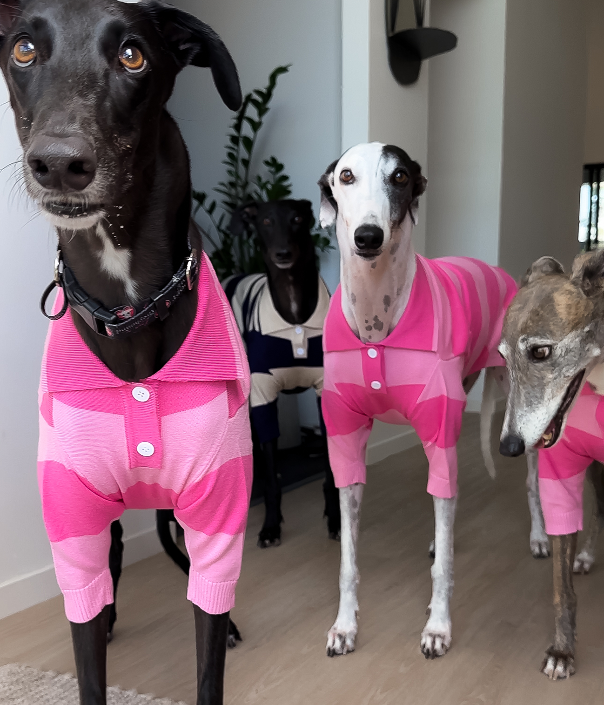 Elle Woods Pink Polo