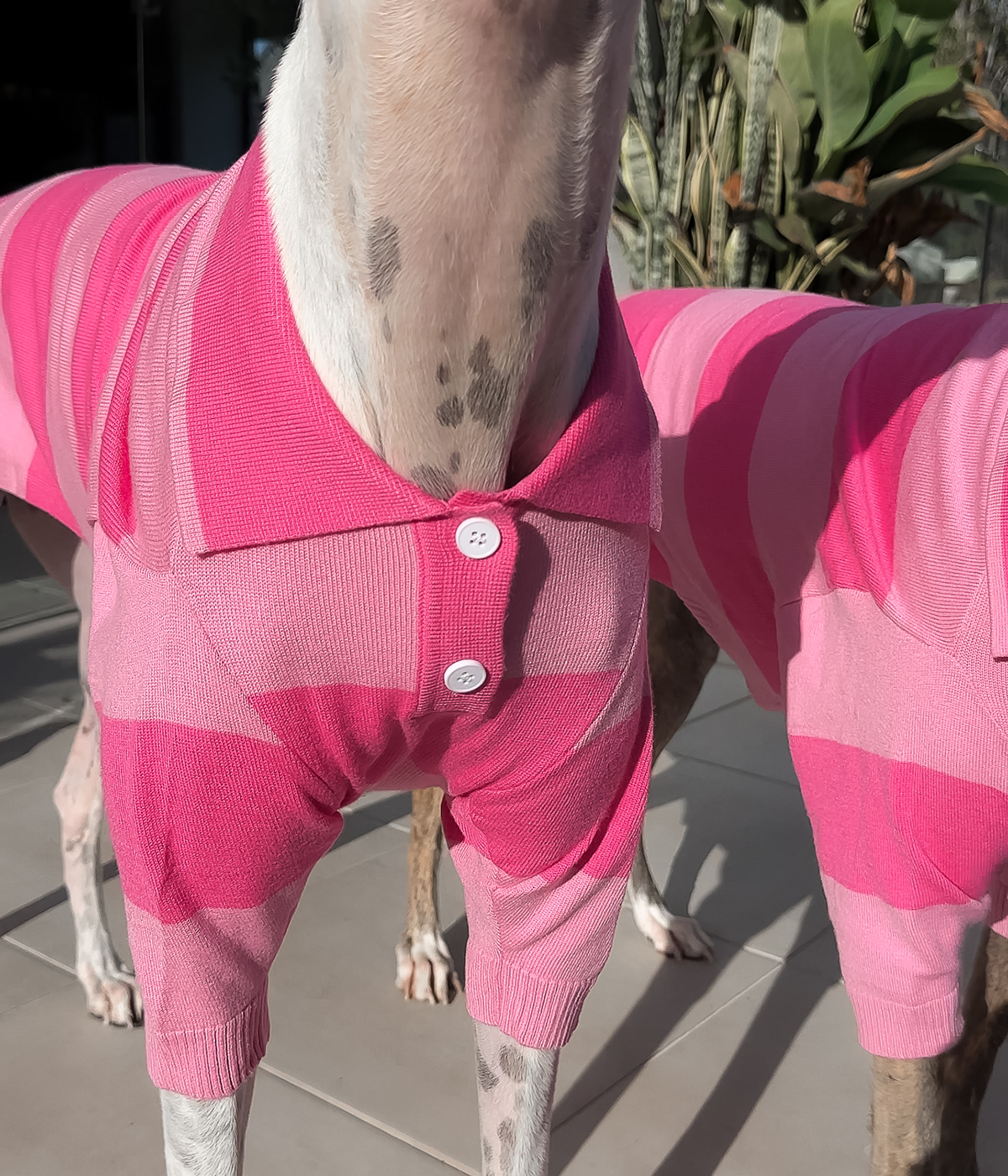 Elle Woods Pink Polo