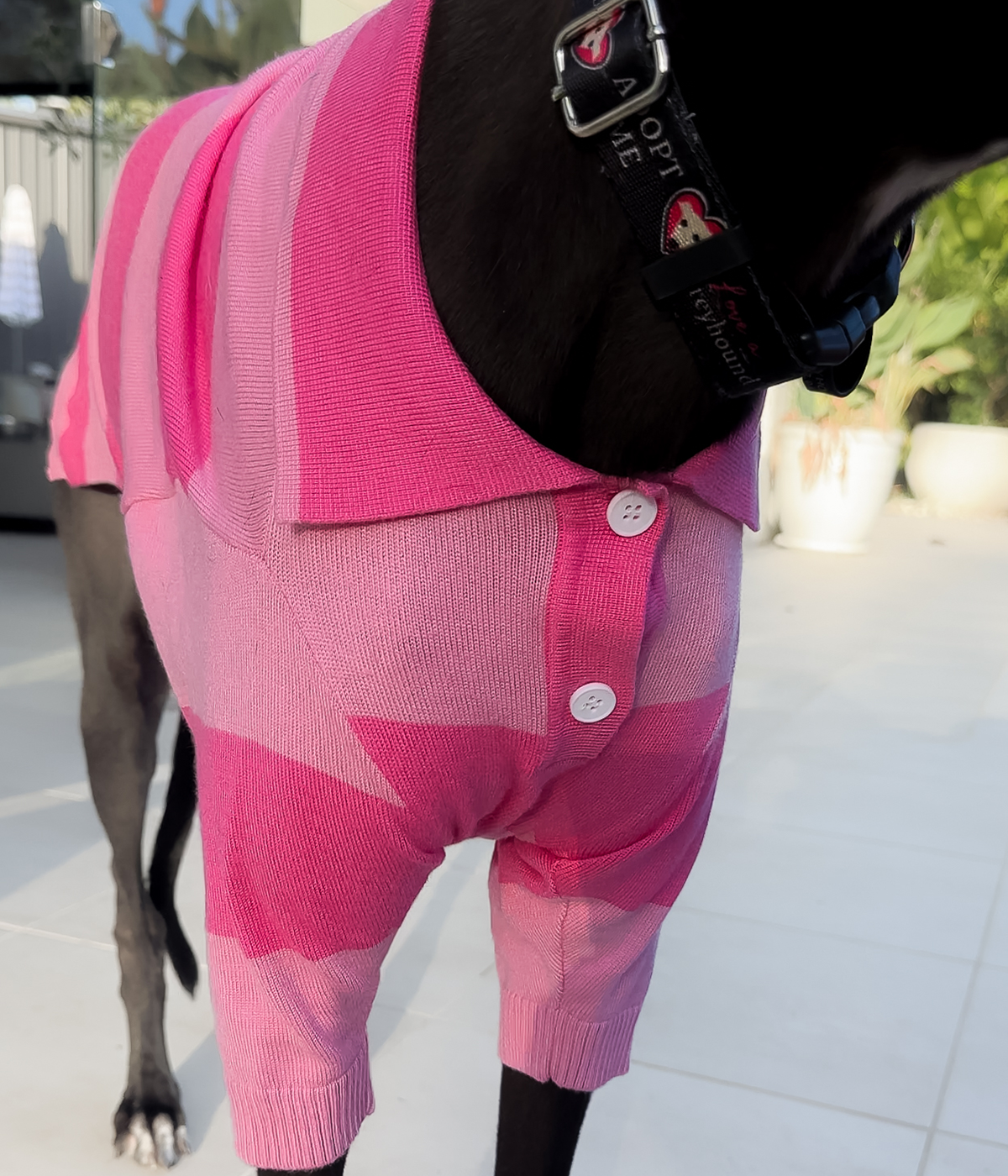 Elle Woods Pink Polo