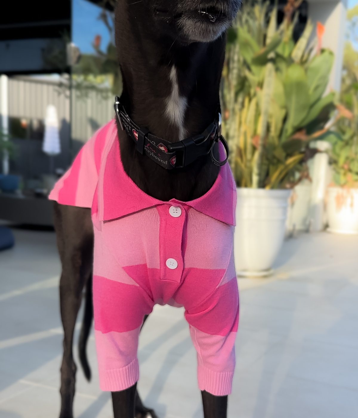 Elle Woods Pink Polo
