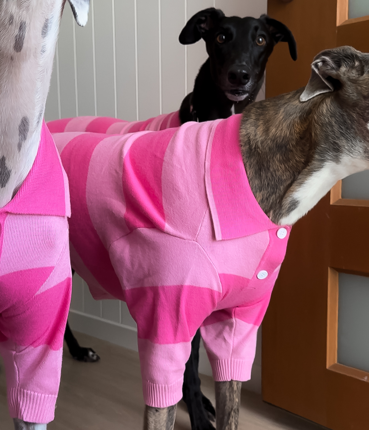 Elle Woods Pink Polo