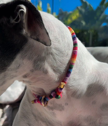 Boho House Collar - Fiesta