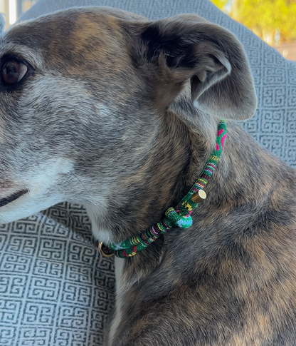 Boho House Collar -Forest