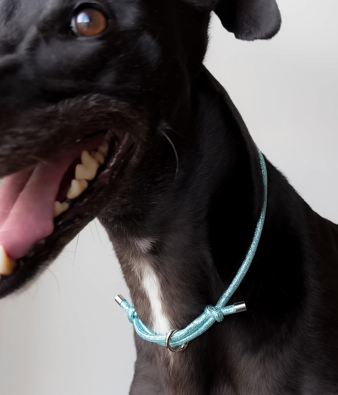 Glitter House Collar - Frost