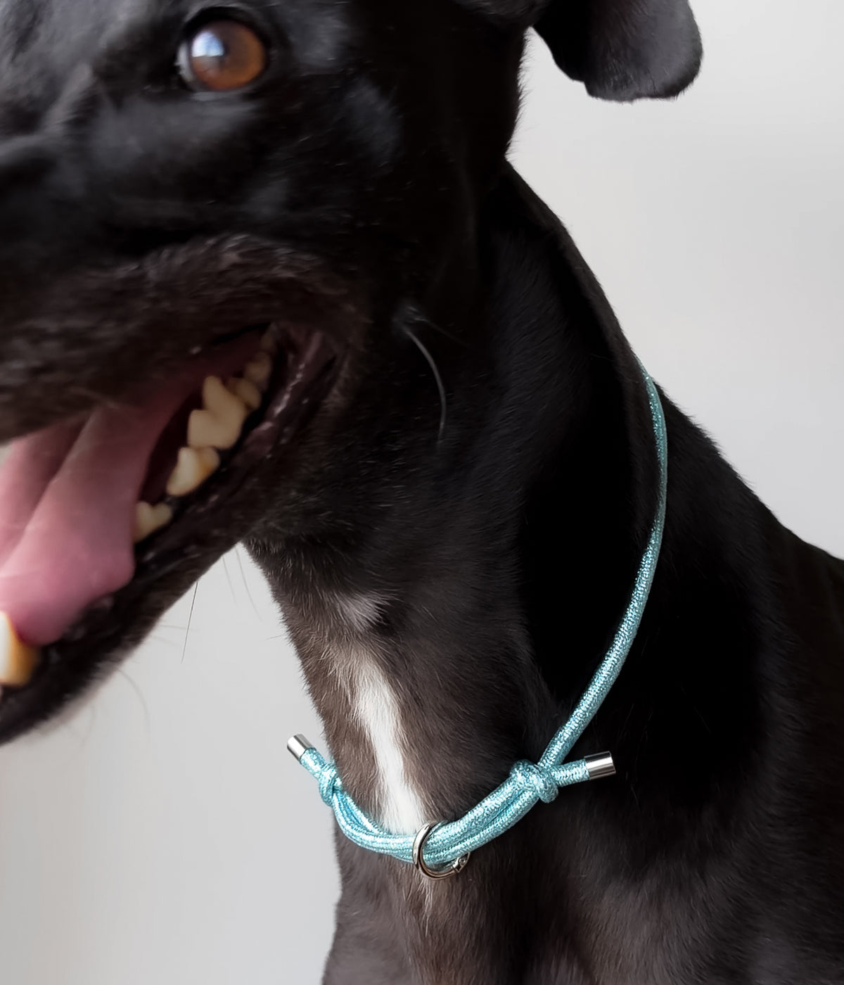 Glitter House Collar - Frost