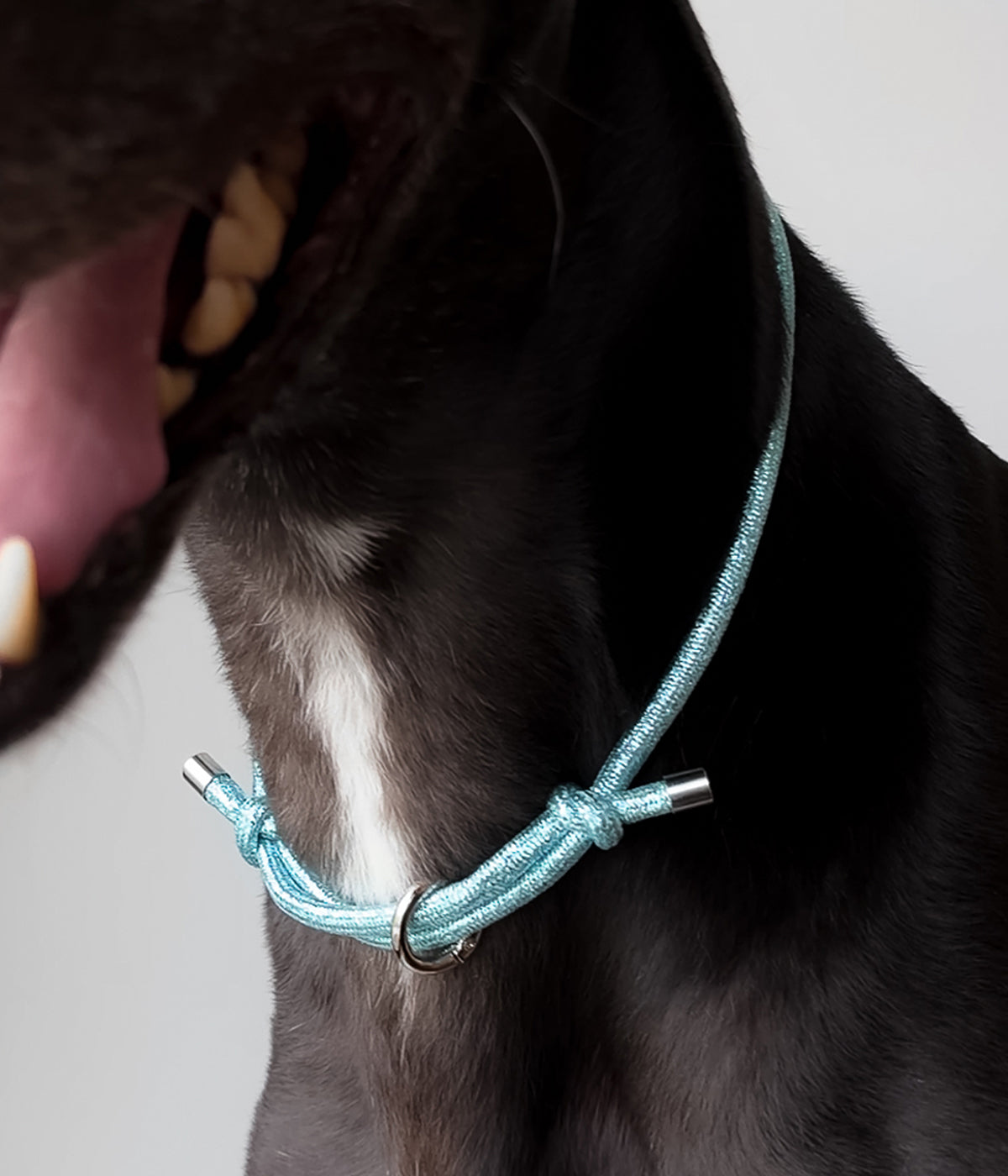 Glitter House Collar - Frost
