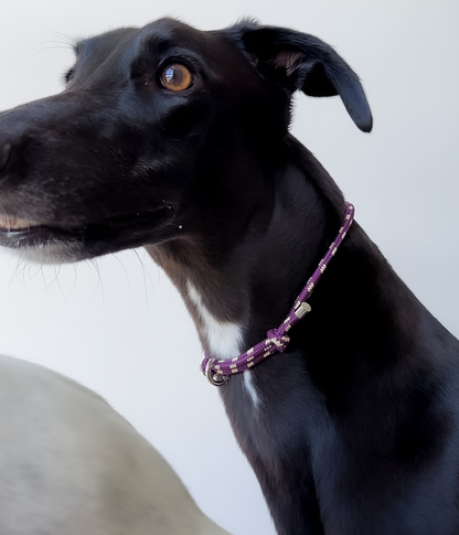 House Collar - Grape Swirl