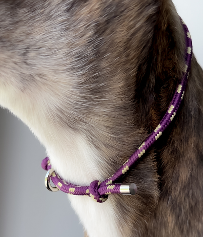House Collar - Grape Swirl