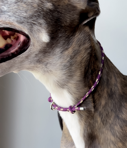 House Collar - Grape Swirl