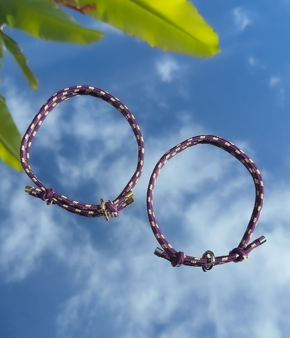 House Collar - Grape Swirl