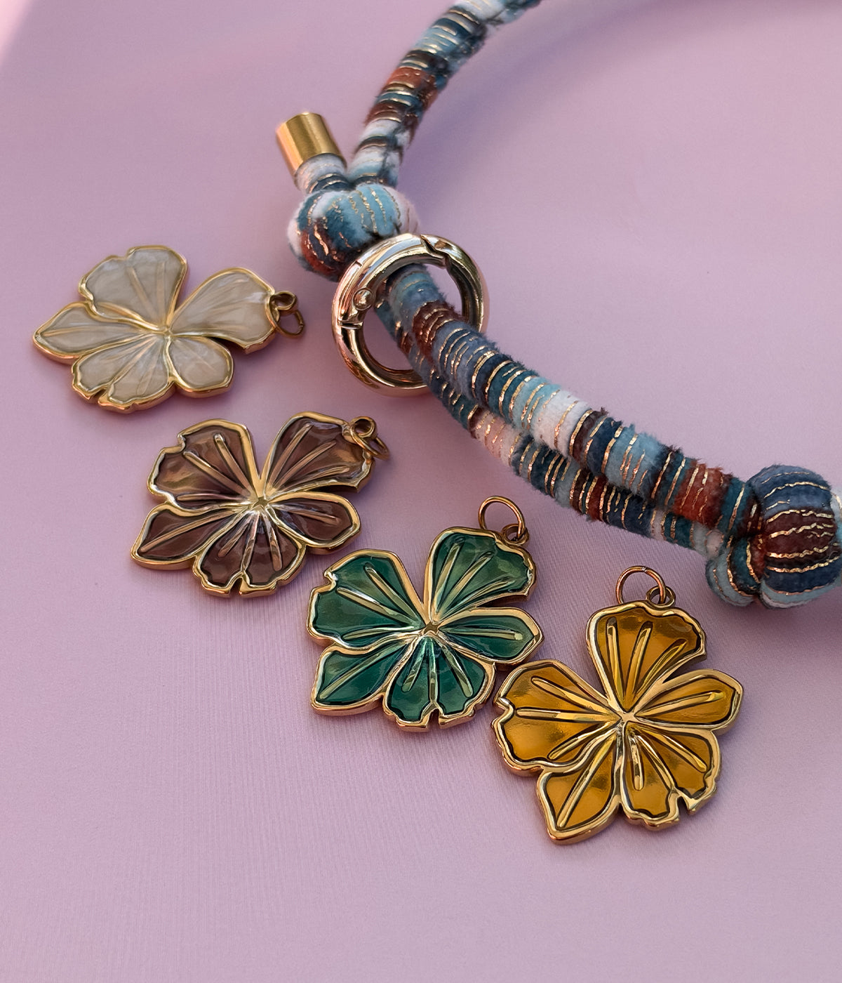 Hibiscus Charm