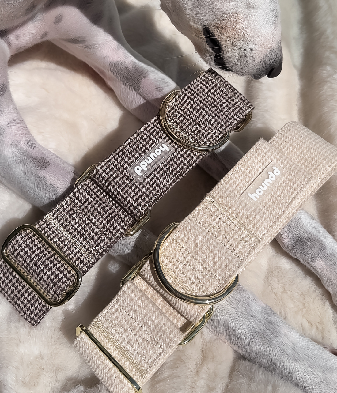Martingale Collar - Hounddstooth