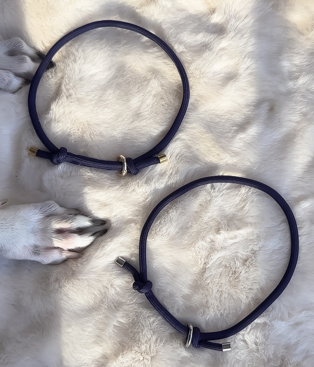 House Collar - Navy