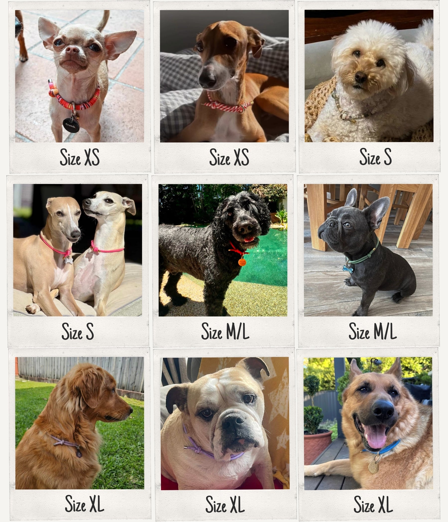 House Collar - Cherry Red