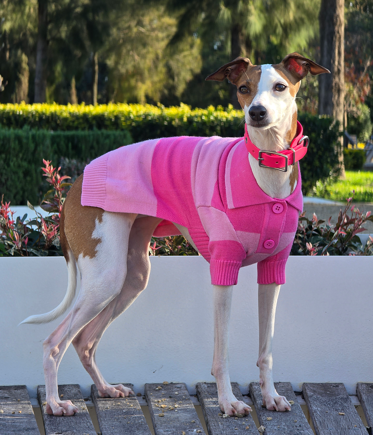 Elle Woods Pink Polo