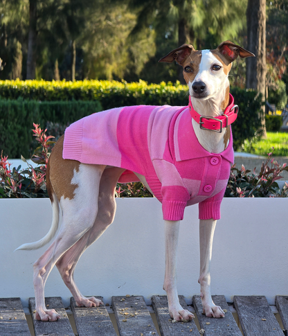 Polo Shirt - Elle Woods Pink