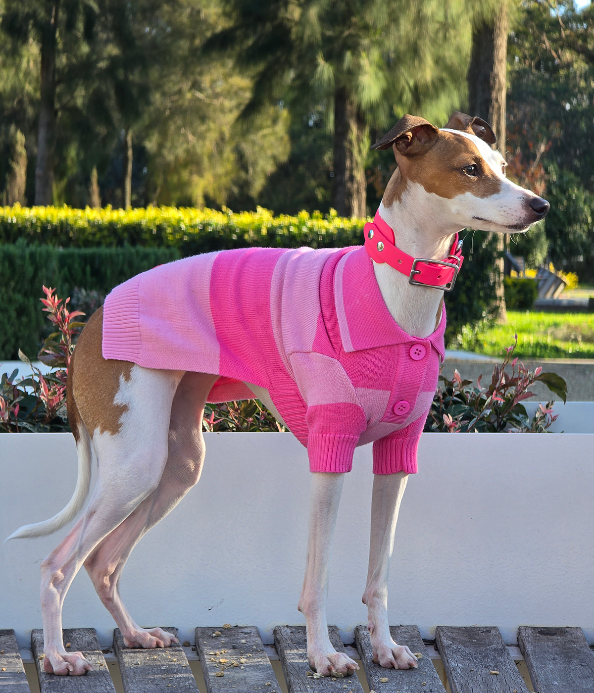 Elle Woods Pink Polo