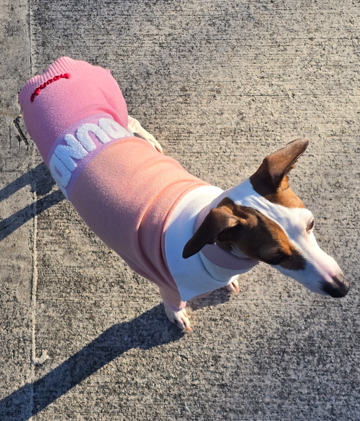 Peach Please Polo