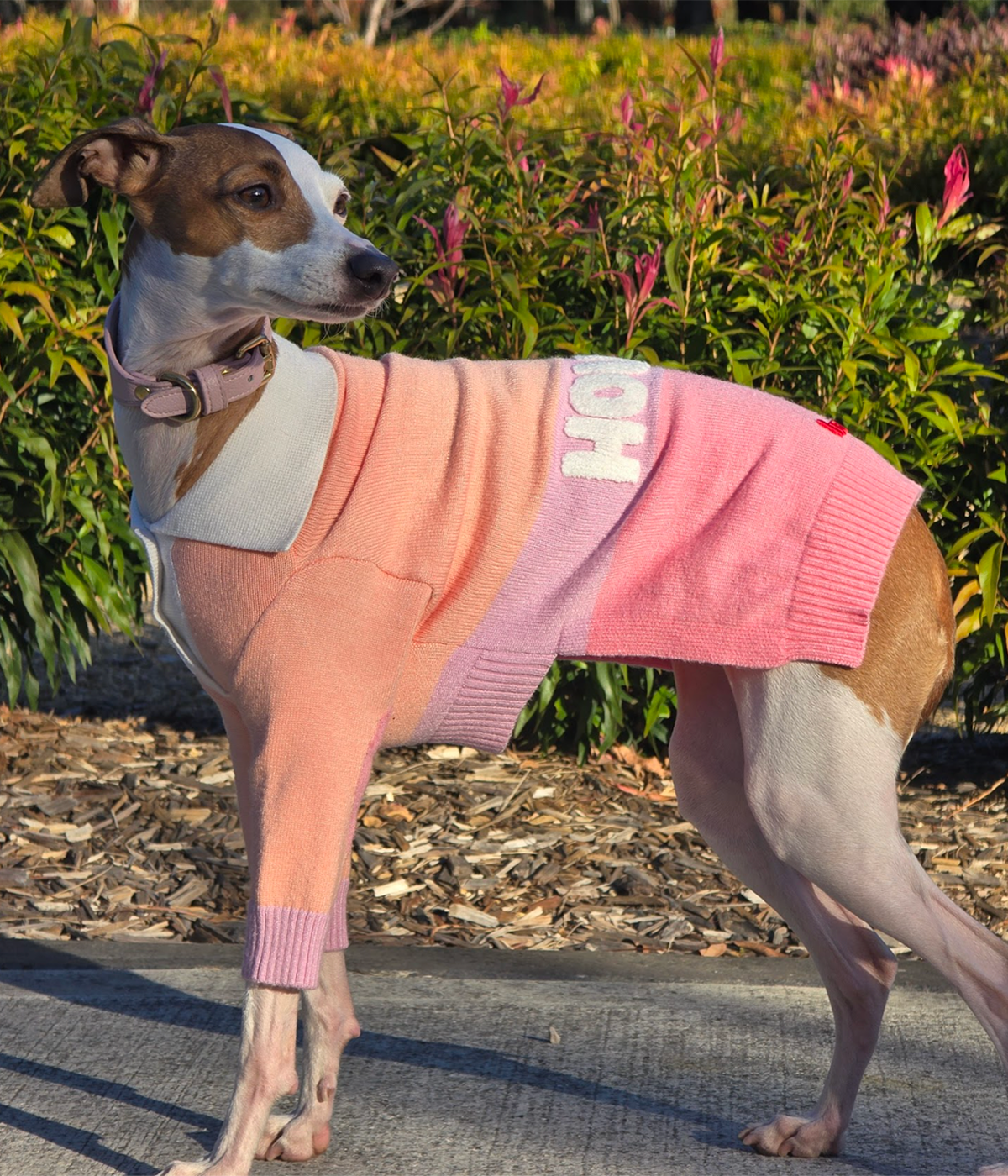 Peach Please Polo