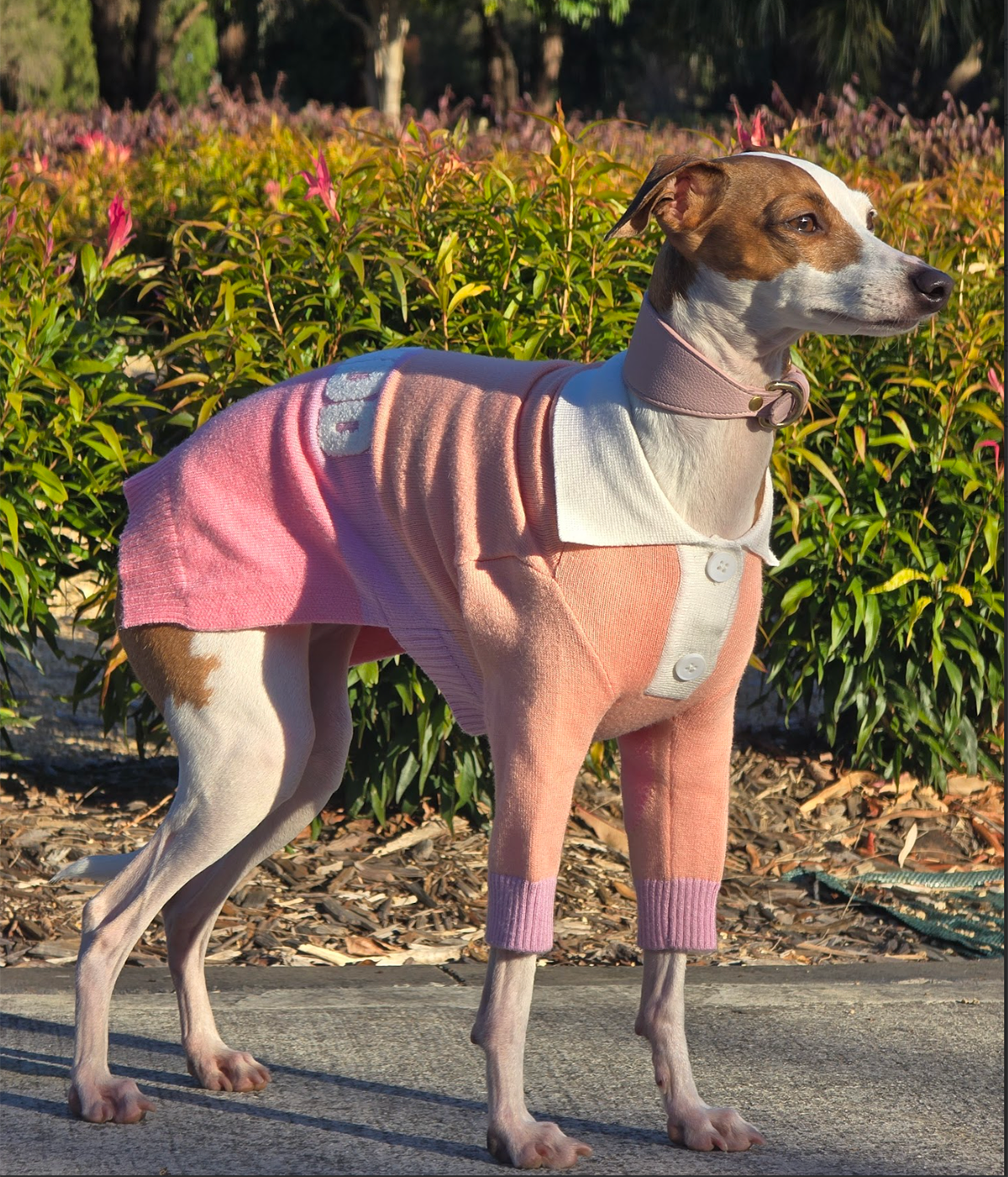 Peach Please Polo