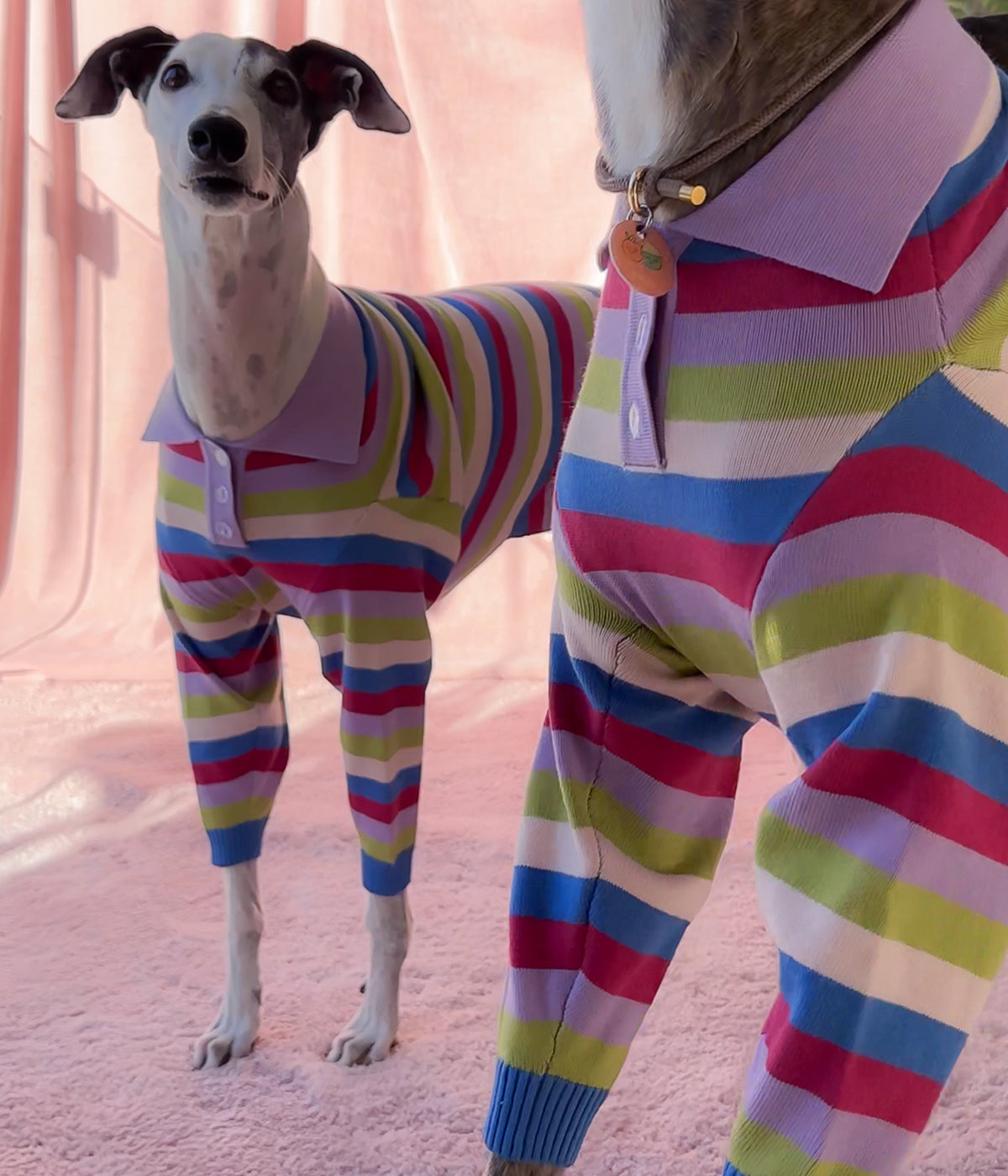 Jellybean Polo - PREORDER