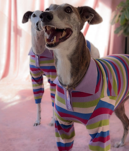 Jellybean Polo - PREORDER
